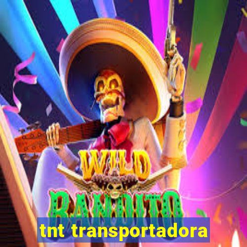 tnt transportadora